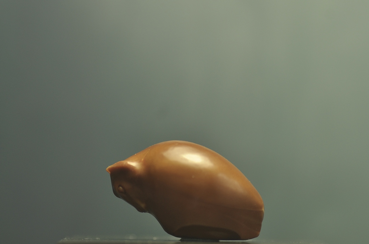 核雕十二生肖_辰午-站酷zcool