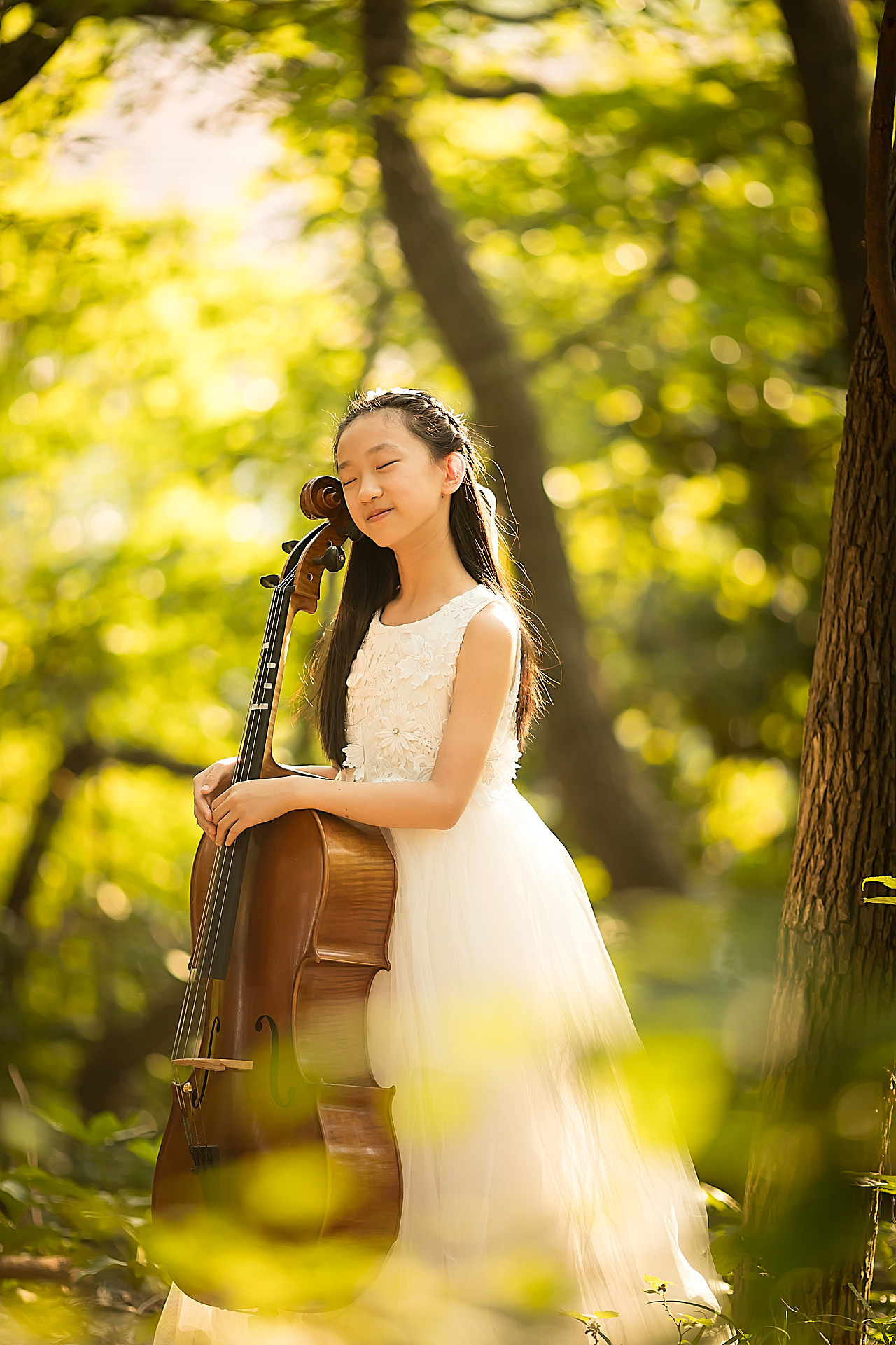 树林里的大提琴