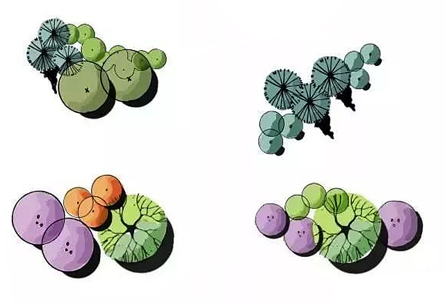 景观设计考研快题手绘/平面图手绘/植物配置组合形式