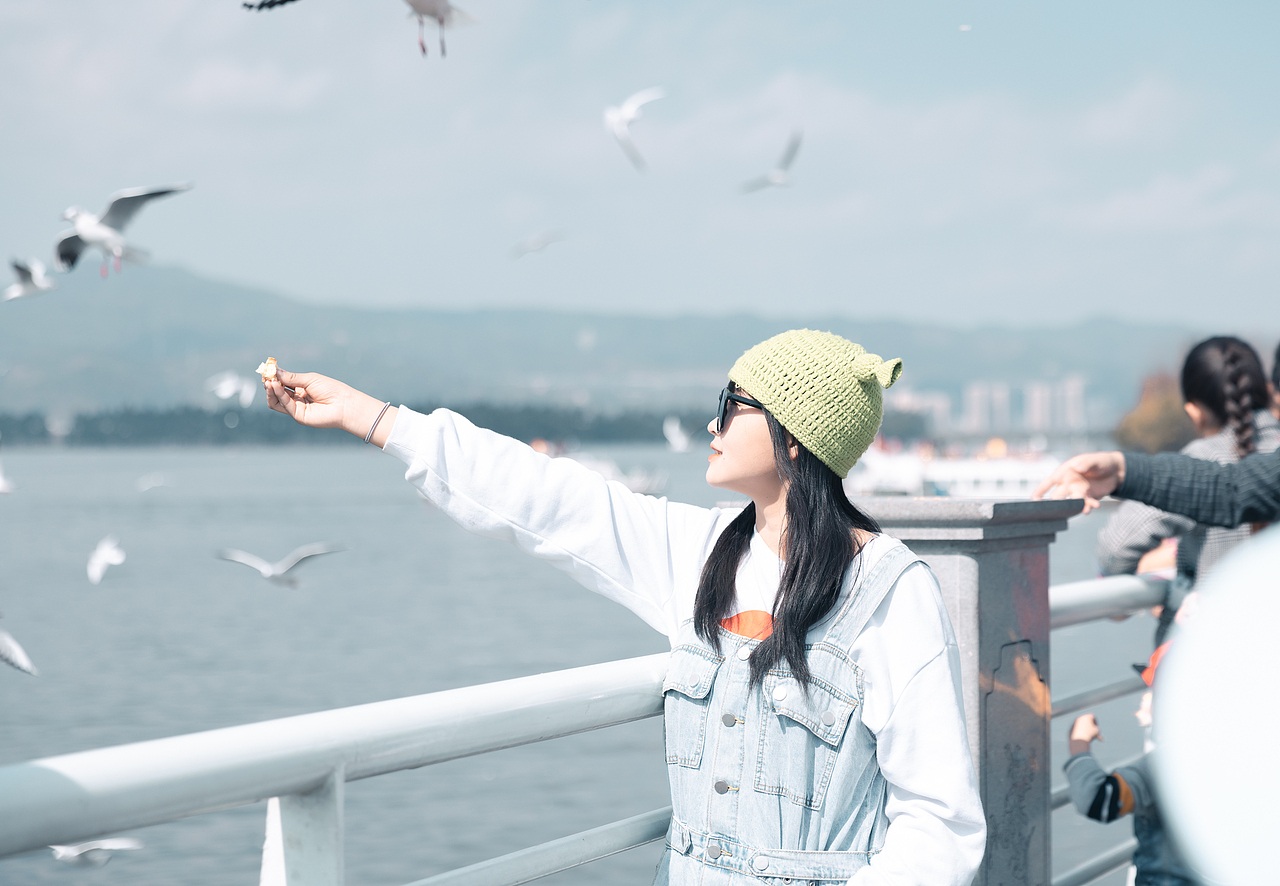 旅摄|昆明滇池海埂大坝海鸥