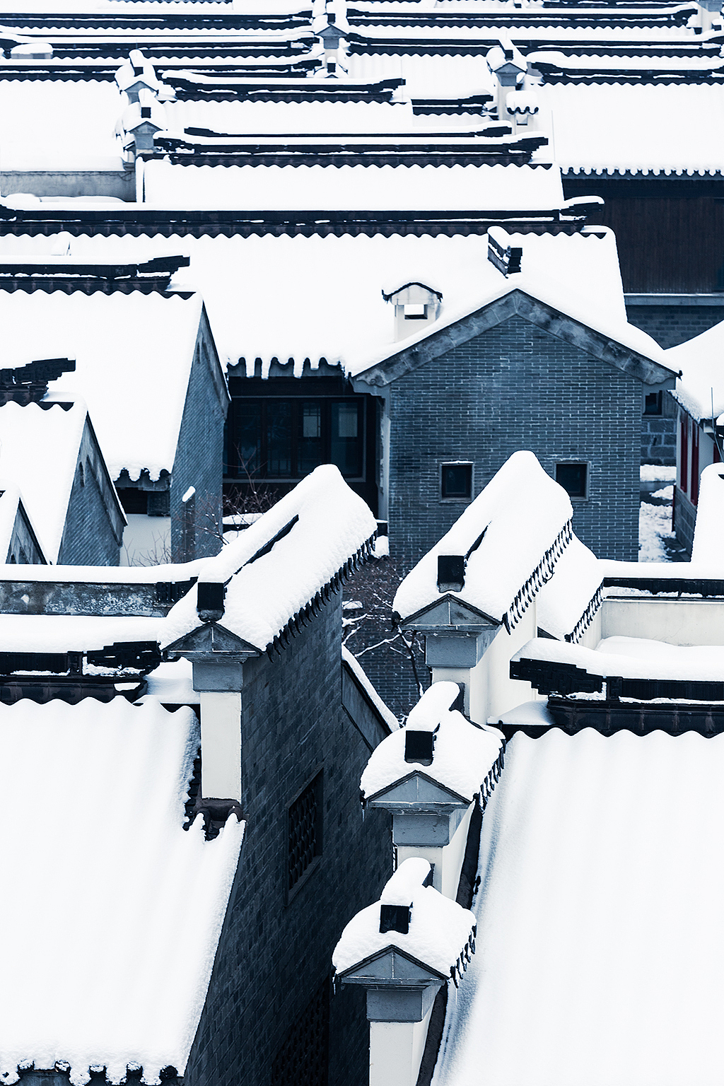 一夜白了头（图ZMTQyMDQ1NDEy） - 风光摄影 - 站酷设计师一切kkk原创素材 - 站酷ZCOOL