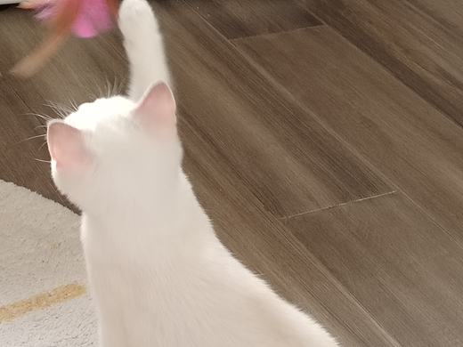 摄影