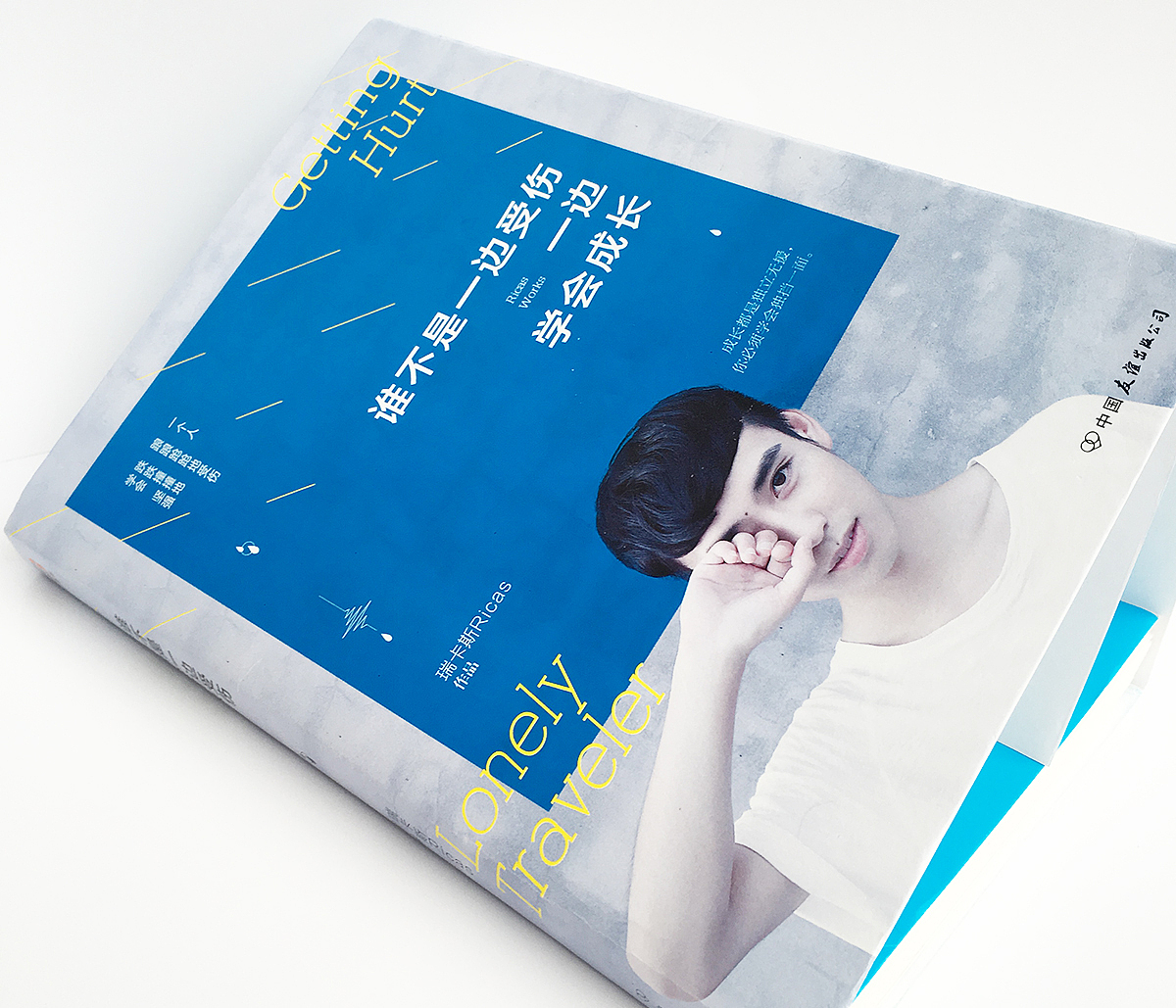 2015书装设计总结（图ZNDIzMzc3MDA=） - 书籍/画册 - 站酷设计师_阿鬼原创素材 - 站酷ZCOOL