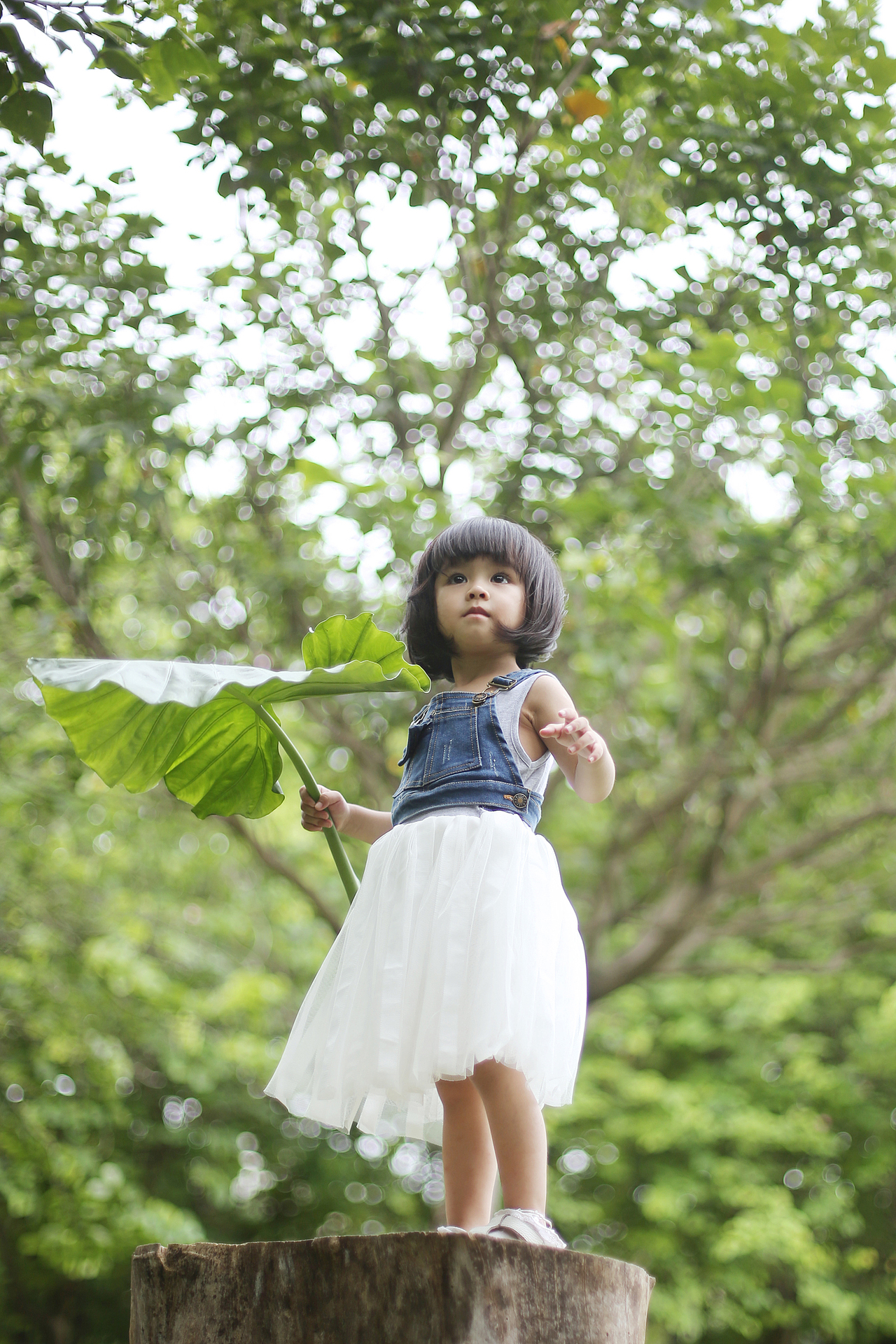 萌妹子的星期天