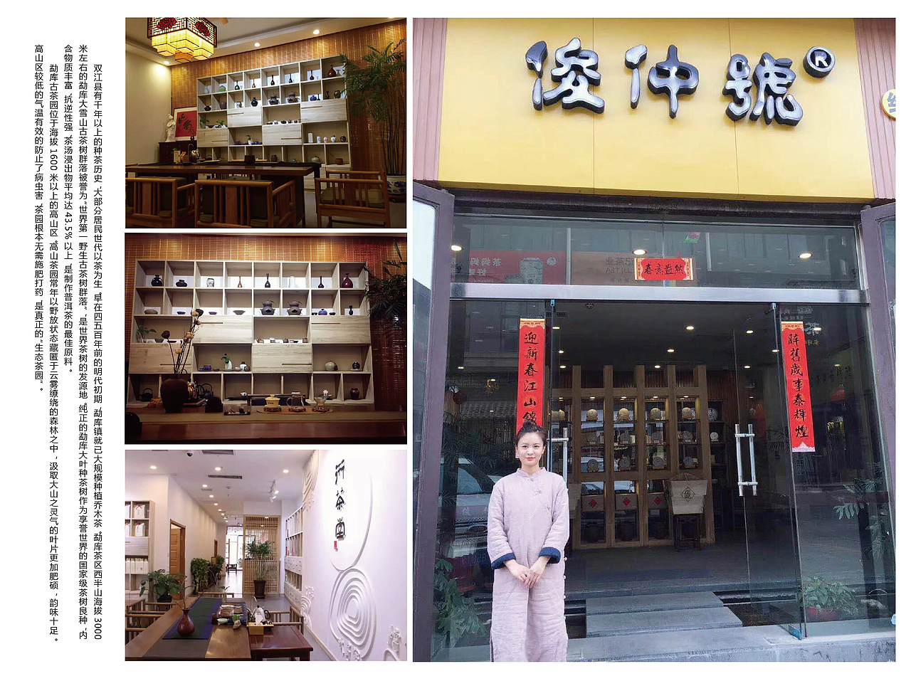 茶叶招商加盟手册