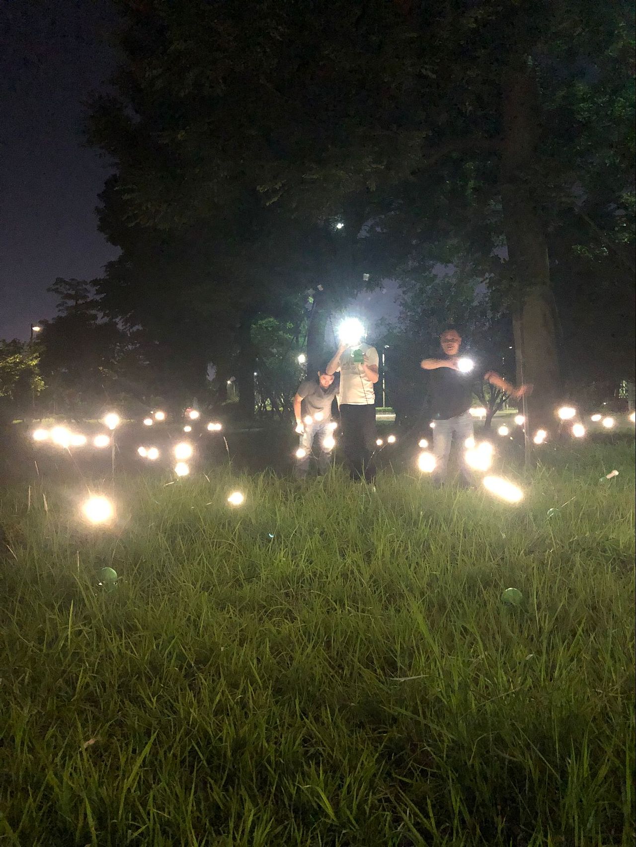 新款草坪装饰灯 LED防水灯 公园装饰亮化灯 IP67防水灯