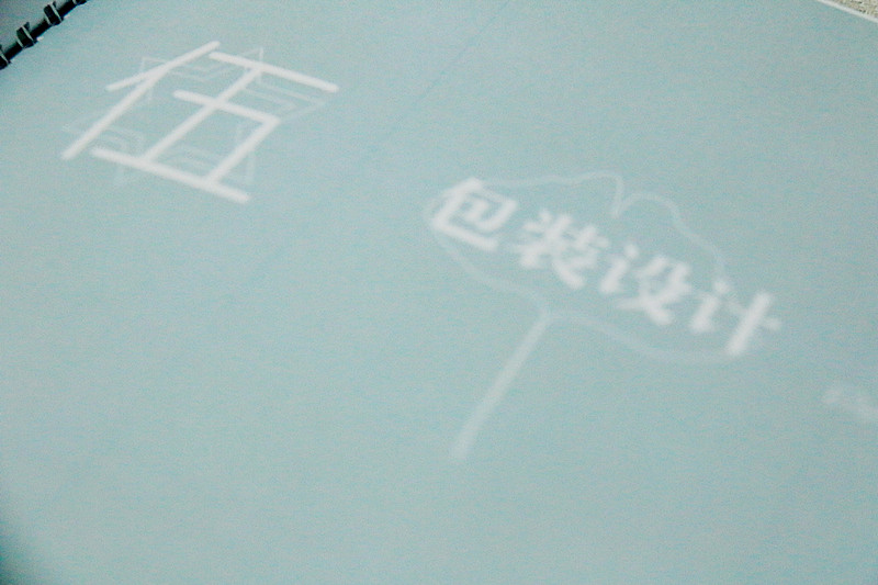 “摄、计、诗”个人概念书籍装帧及周边设计