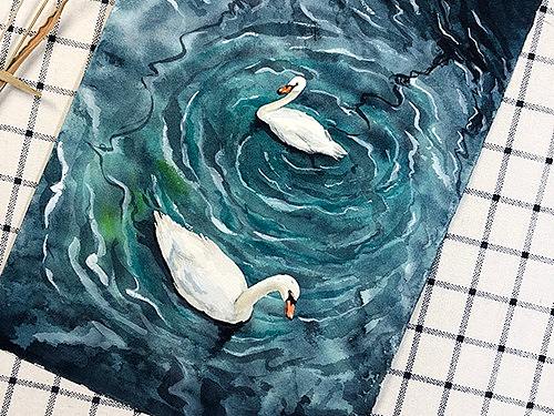 水彩画-天鹅之旋