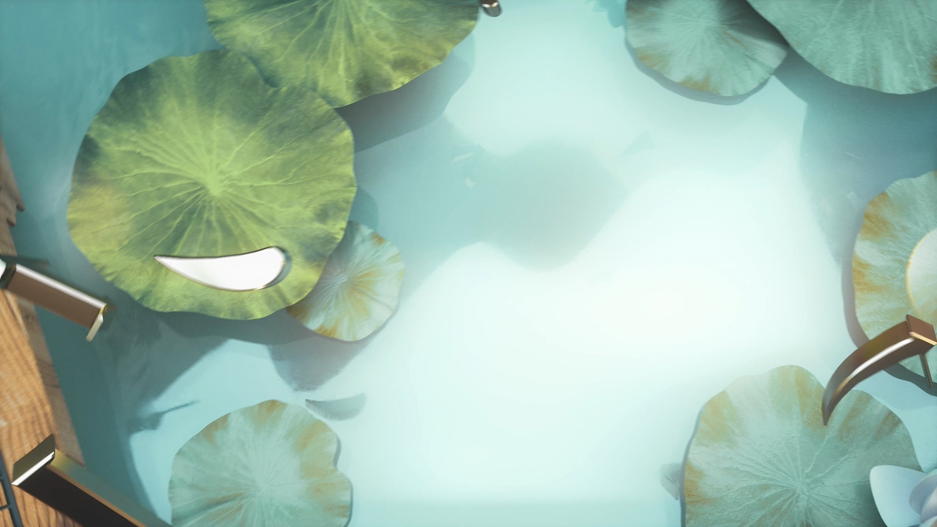 《诗意中国》栏目包装