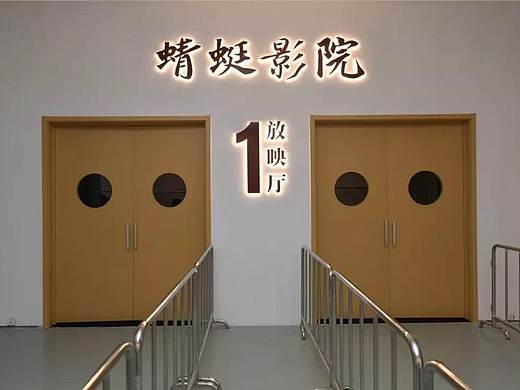 影像的力量“世界图像：徐冰《蜻蜓之眼》”开幕论坛