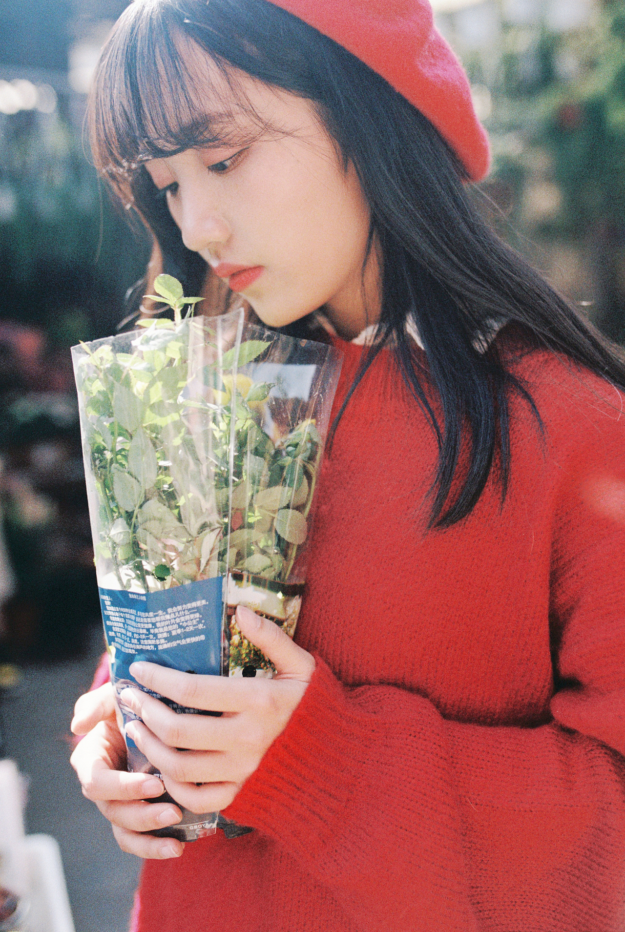 一起长大的我们