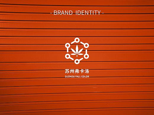 物流公司企业VI设计 ｜ 品牌设计 