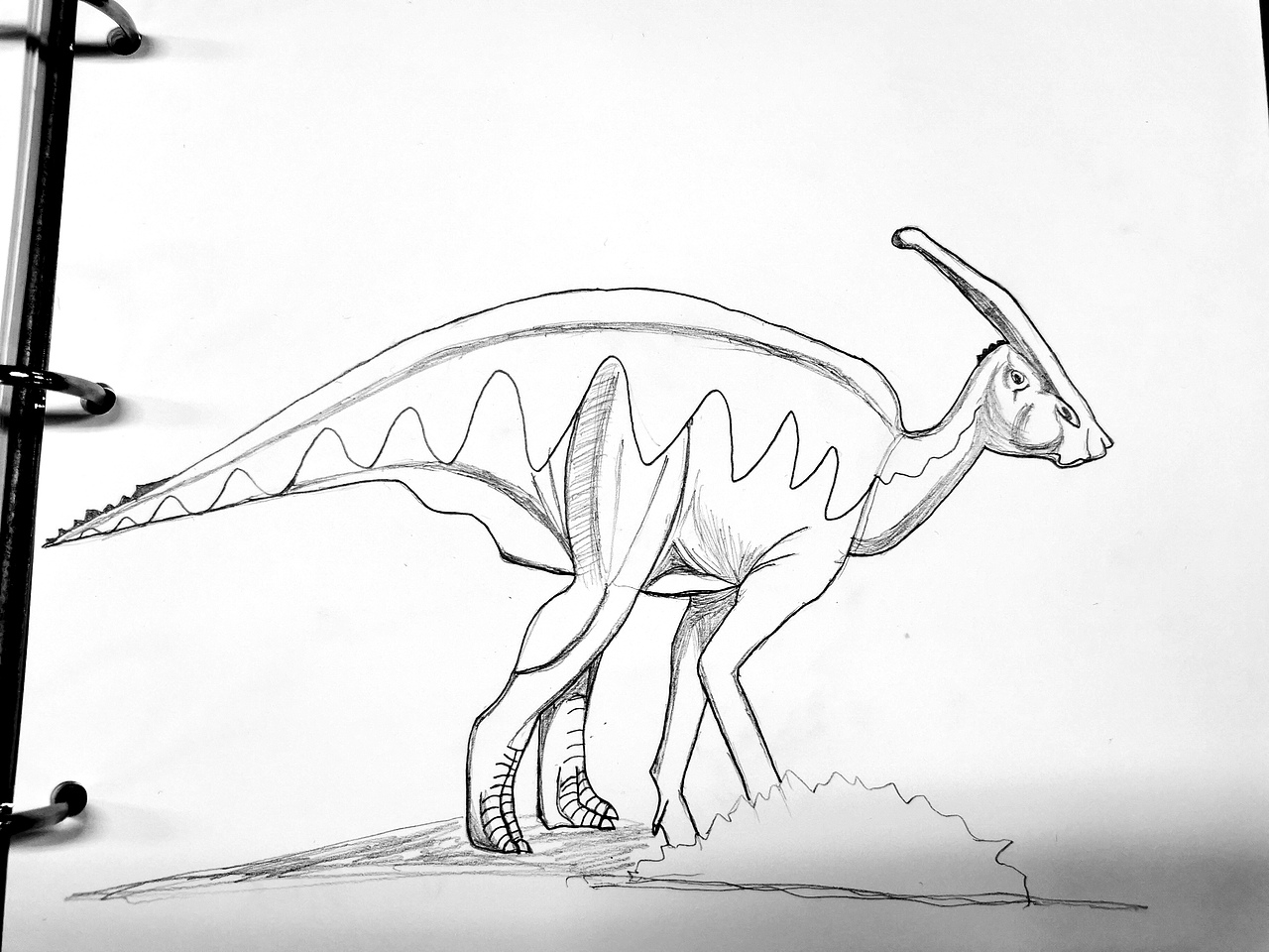 恐龙图鉴|插画|艺术插画|饭饭饭饭饭饭饭_临摹作品-站酷zcool