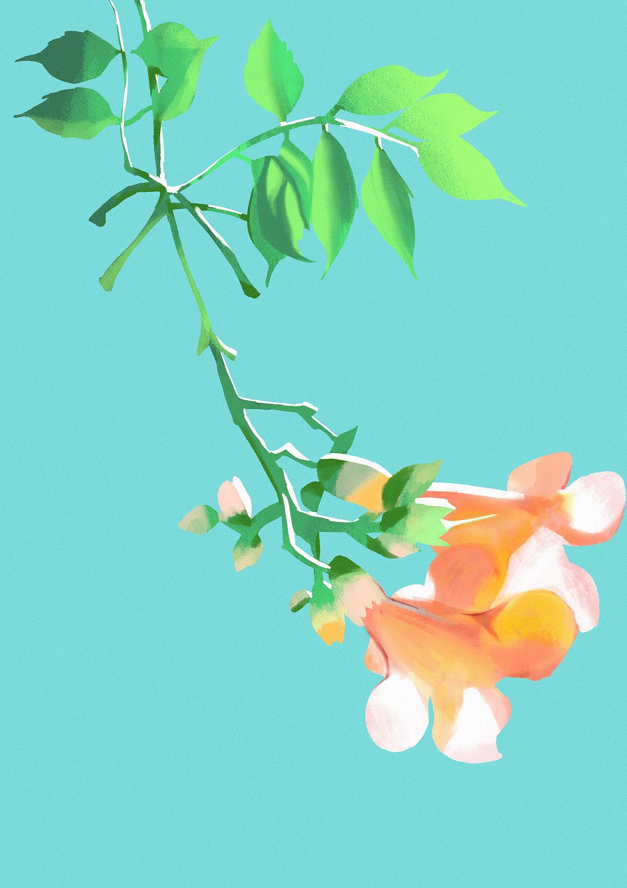 色彩60天挑战赛