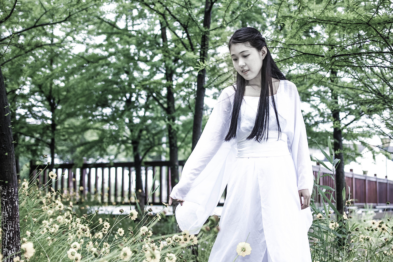 -----------------分格线---------------