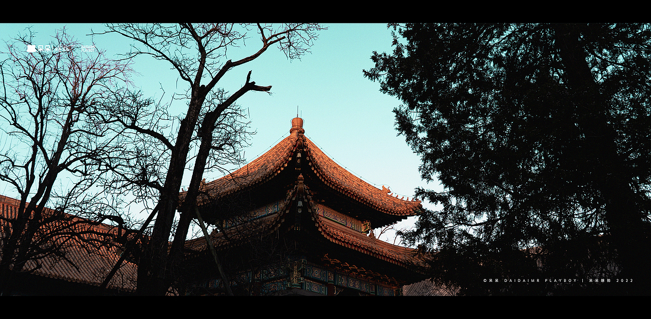 呆呆瞎拍 | 生活就像电影，要有仪式感（图ZMjg3NTYyMjgw） - 人文/纪实摄影 - 站酷设计师呆小东原创素材 - 站酷ZCOOL