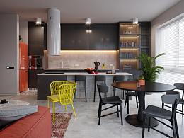 国外户型改造工业风