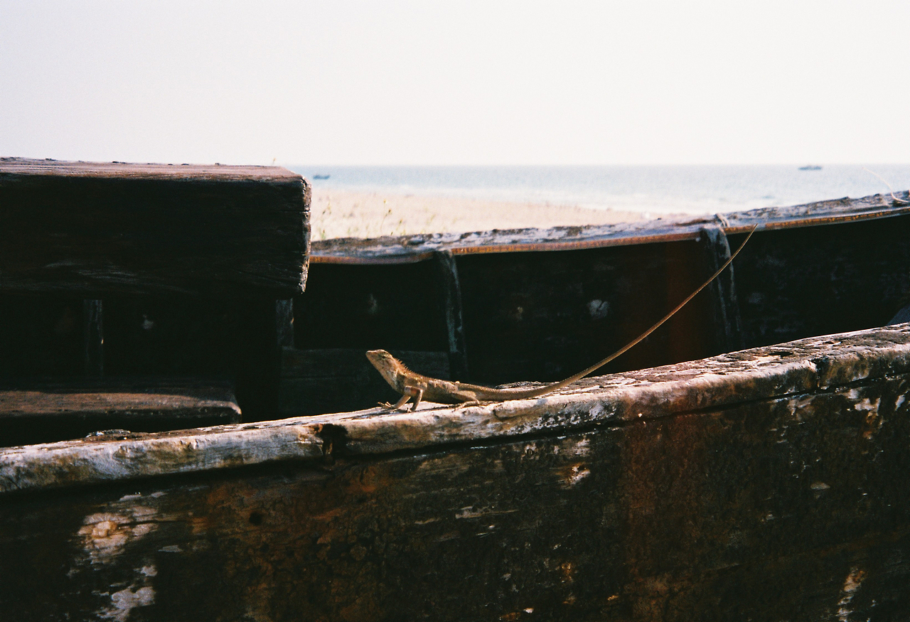 北海涠洲岛 胶片记忆