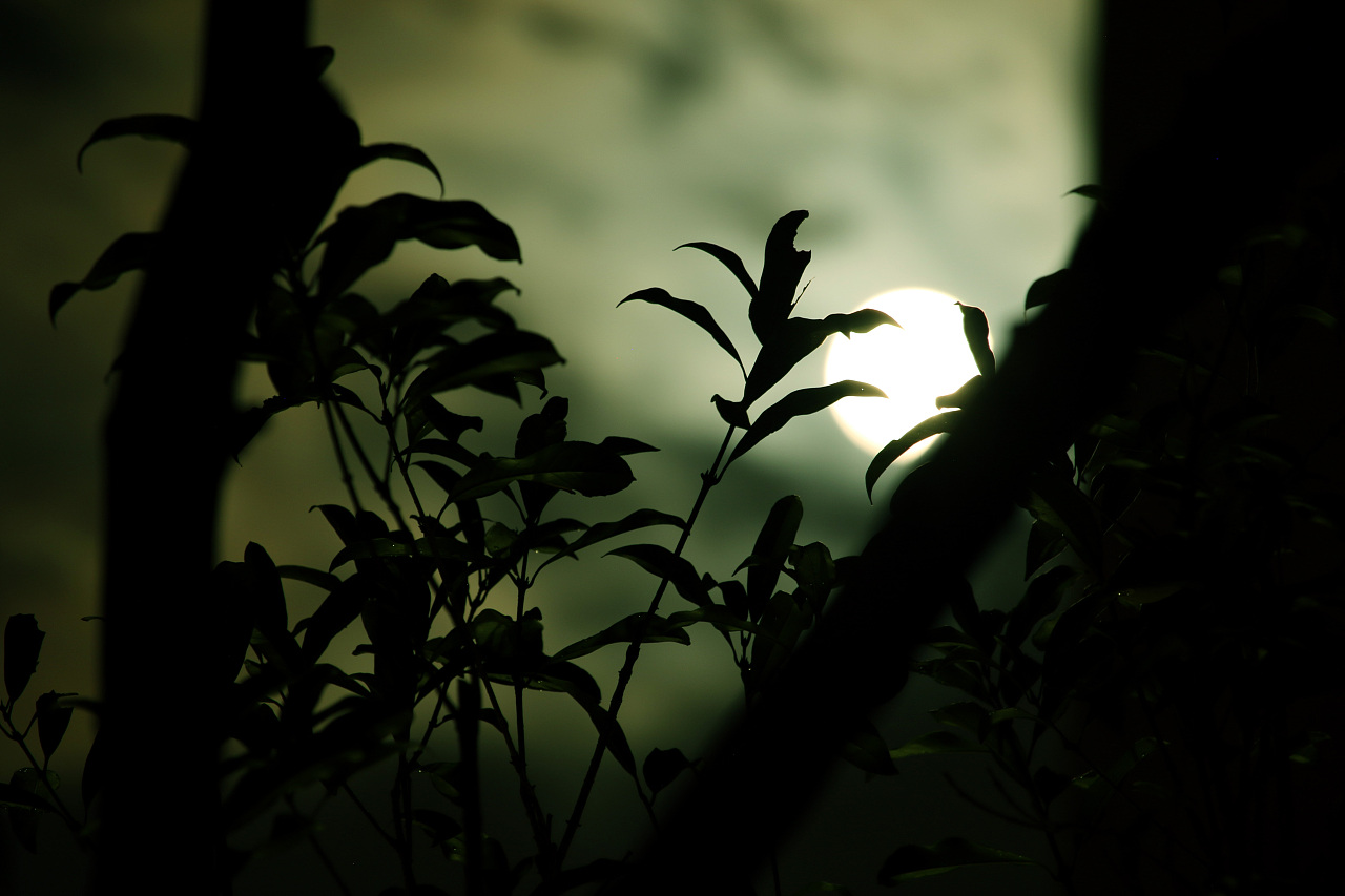 2017/8/9 拍摄的一组夜晚照片