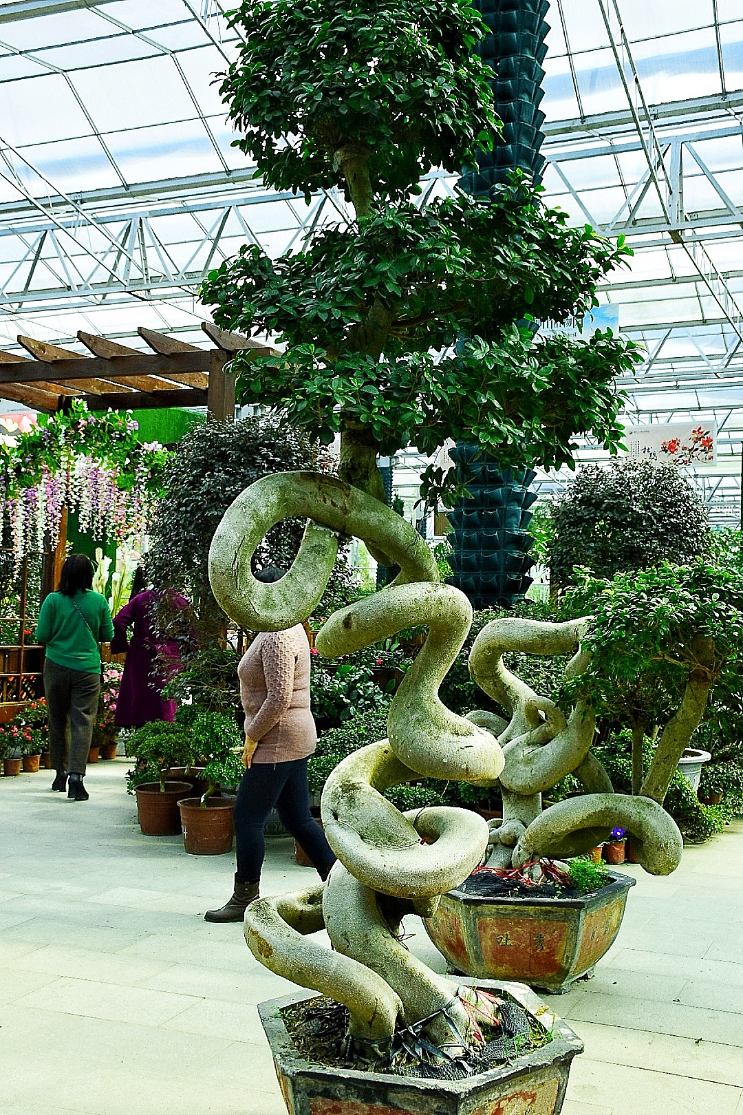 太乙仙山植物园