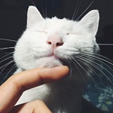 小志_Zoe的头像