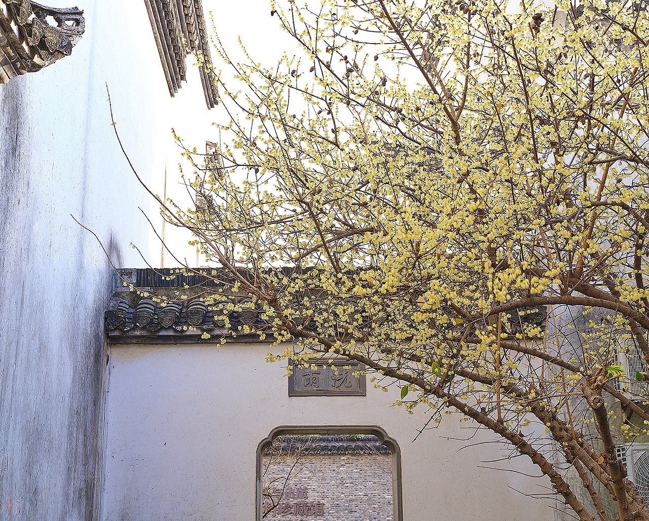 上海十景（图ZMzg2MzY2NTk2） - 风光摄影 - 站酷设计师陈弦影原创素材 - 站酷ZCOOL