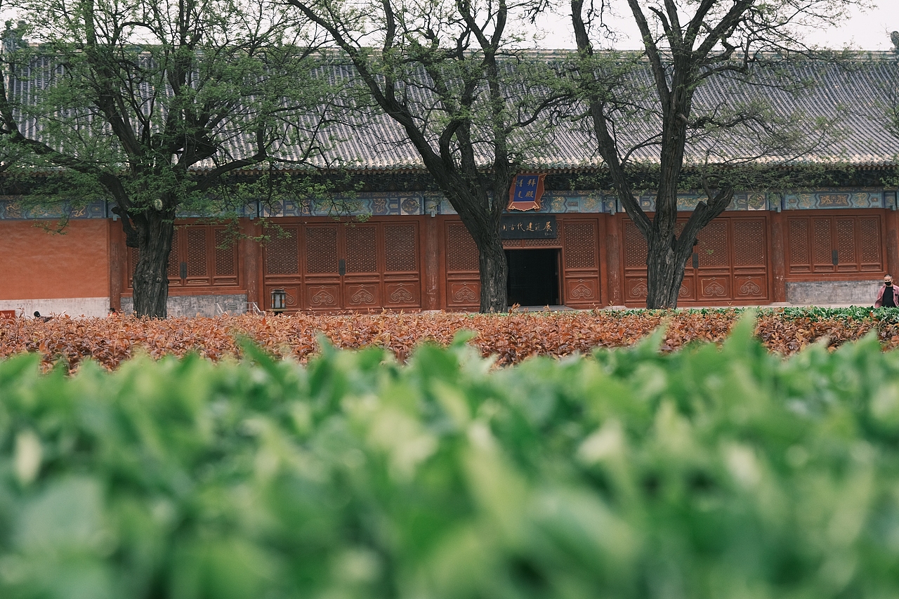 一些街拍和风景（图ZMzAxNzIyMjI4） - 风光摄影 - 站酷设计师壹个梦原创素材 - 站酷ZCOOL