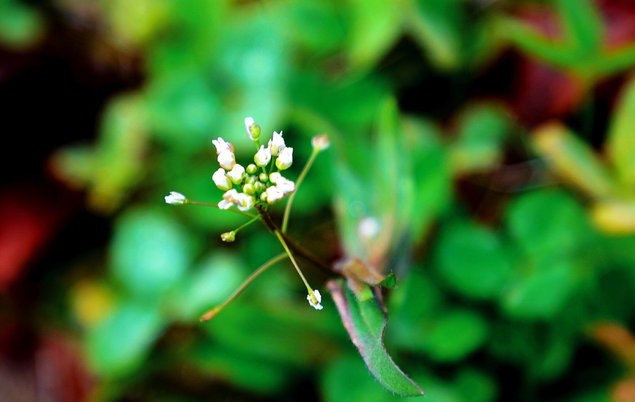 半日浮生半日闲