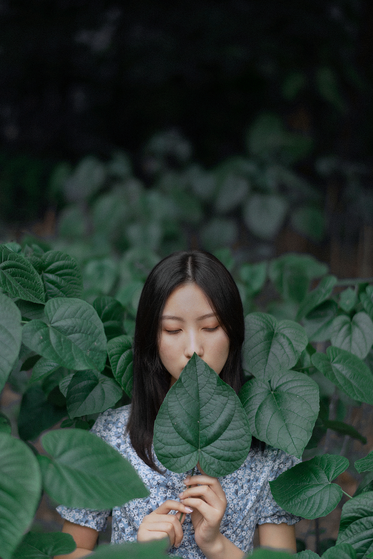 叶子（图ZMjQ5MjE5NDI4） - 人像摄影 - 站酷设计师锅一口原创素材 - 站酷ZCOOL