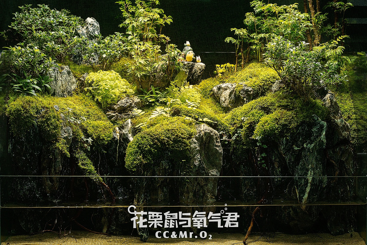 花栗鼠与氧气君·绿植微景观，微妙的小世界（图ZNzk4MDQwMjQ=） - 风光摄影 - 站酷设计师噗噗维尼原创素材 - 站酷ZCOOL