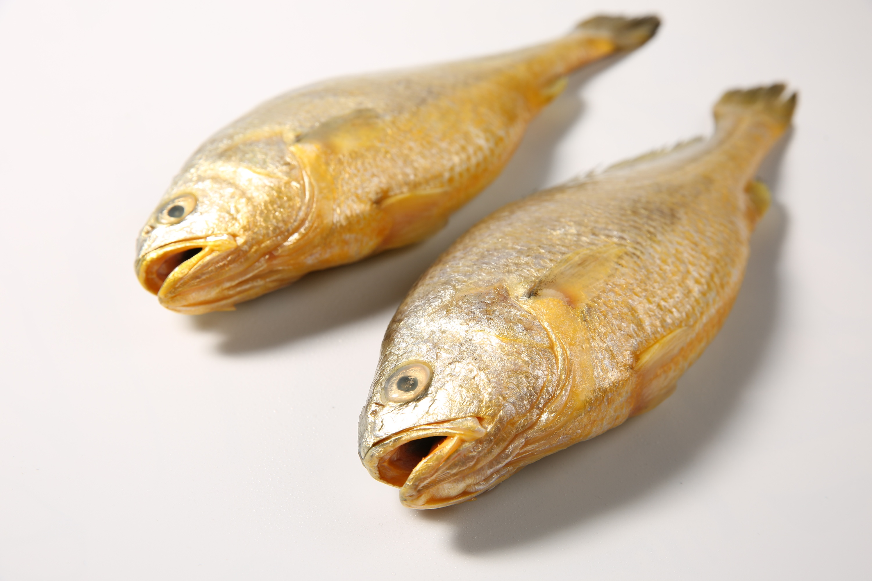 冷冻海鲜食品大黄鱼