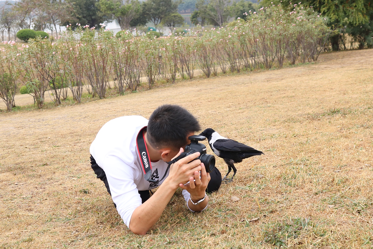 周末没事去白云湖玩下摄影