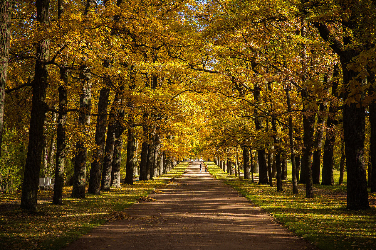 冬（图ZMTUzOTI5ODA4） - 海报 - 站酷设计师李泗水原创素材 - 站酷ZCOOL