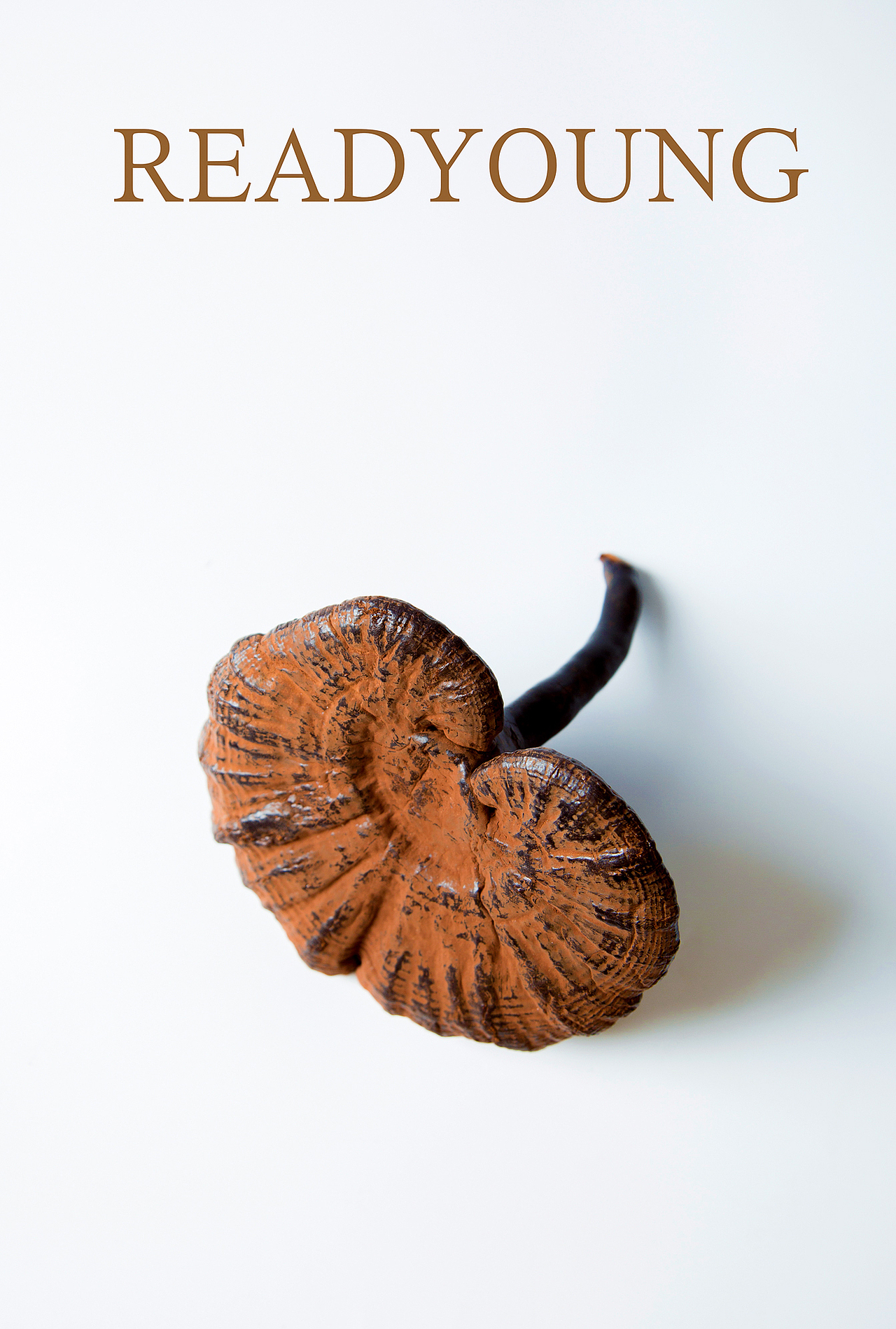 产品（图ZMTQxNzY5MzQ4） - 产品摄影 - 站酷设计师青野周三原创素材 - 站酷ZCOOL