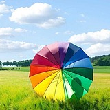 枼芓的头像