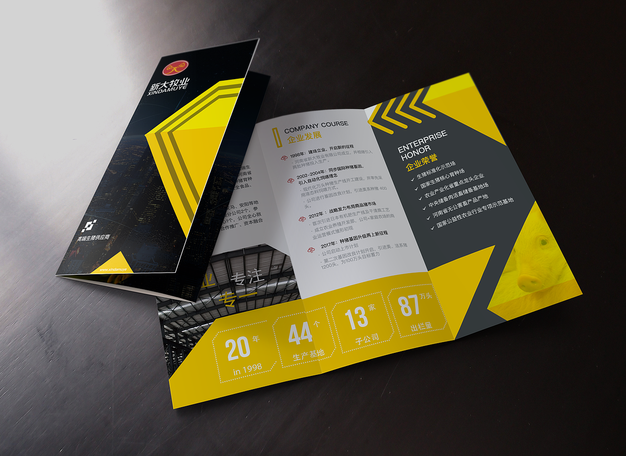 企业三折页设计