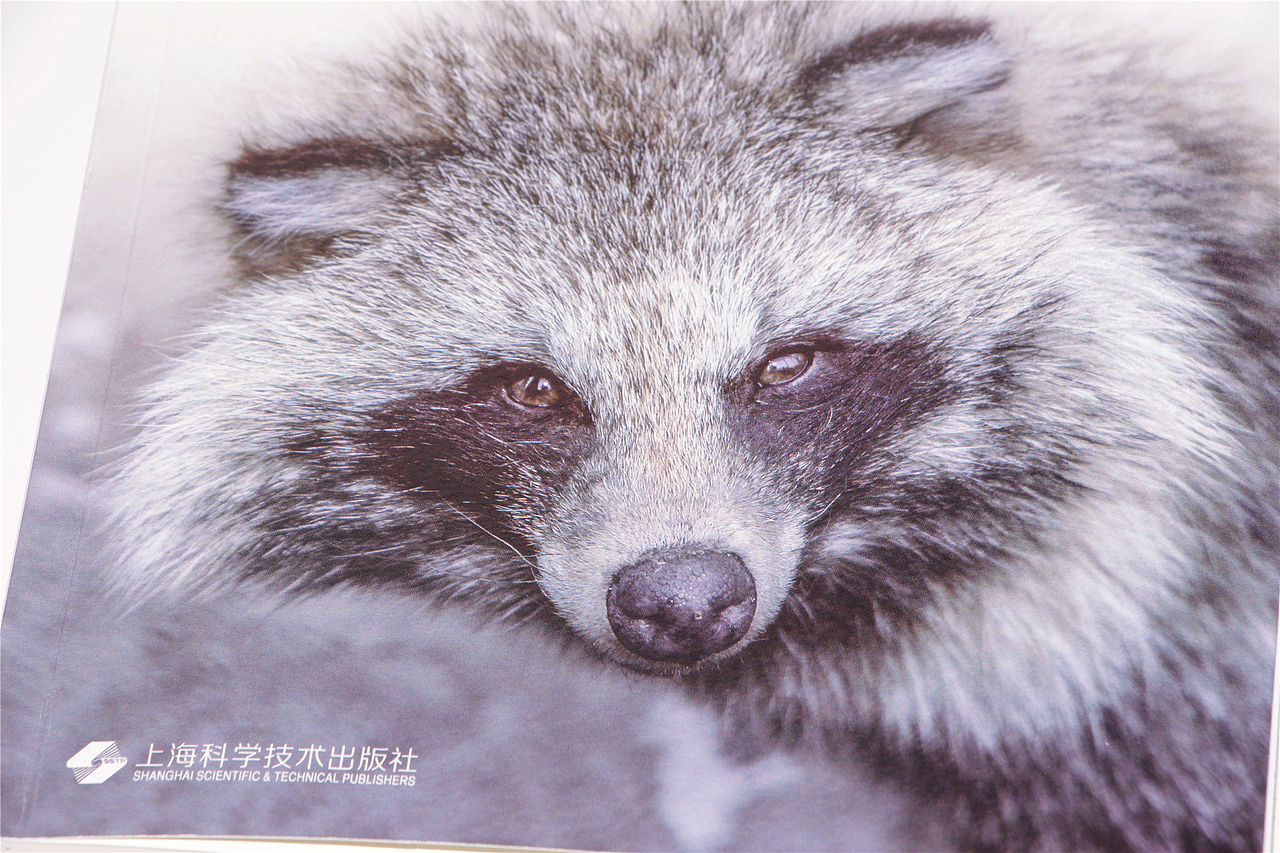 2020年第5本图书的封面设计（正式稿与飞机稿）（图ZMjI4OTAwODU2） - 书籍/画册 - 站酷设计师尚沪晴好原创素材 - 站酷ZCOOL