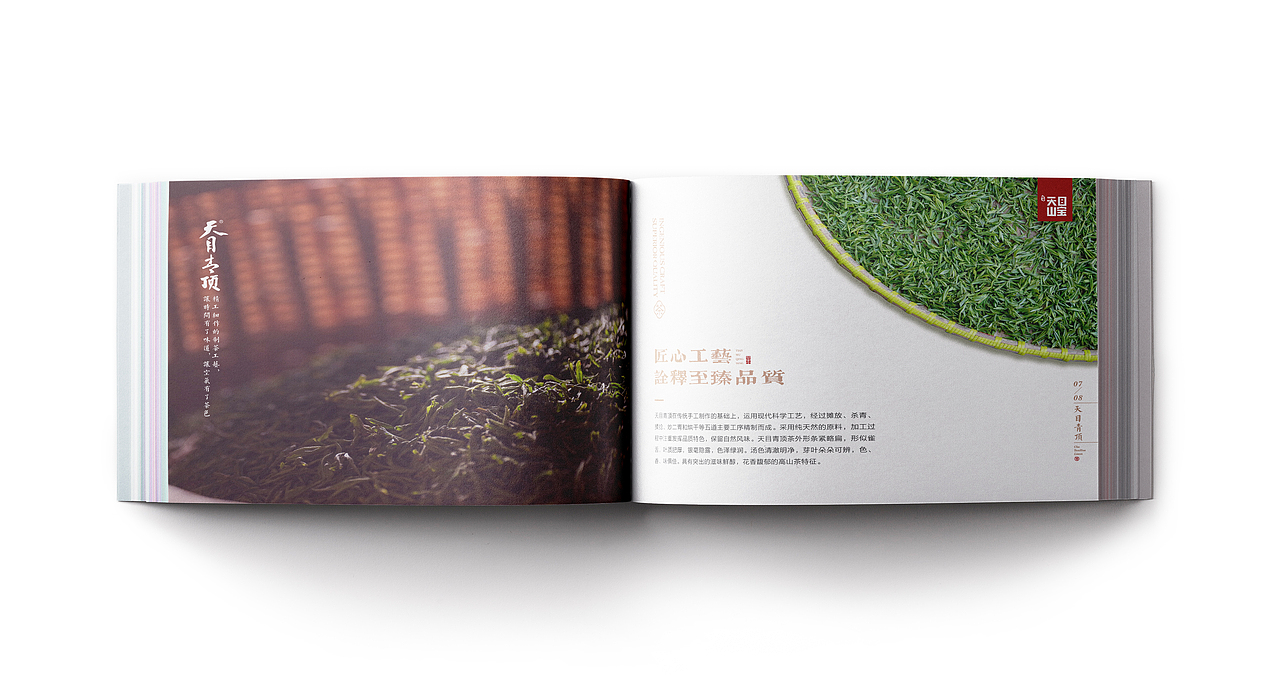 茶叶宣传册（图ZMjU1ODA2NzAw） - 书籍/画册 - 站酷设计师三王WANG原创素材 - 站酷ZCOOL