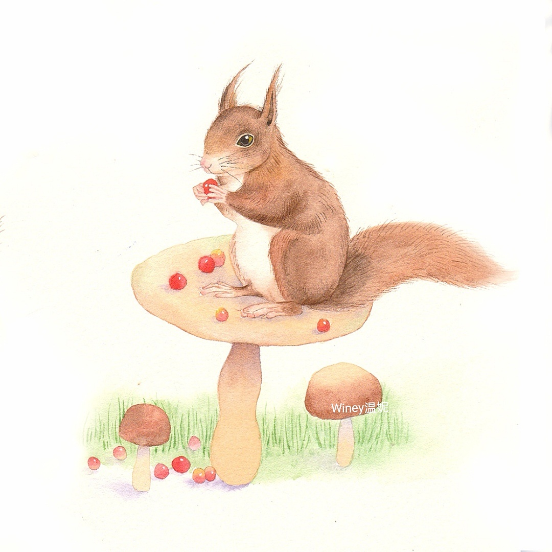 治愈小松鼠系列