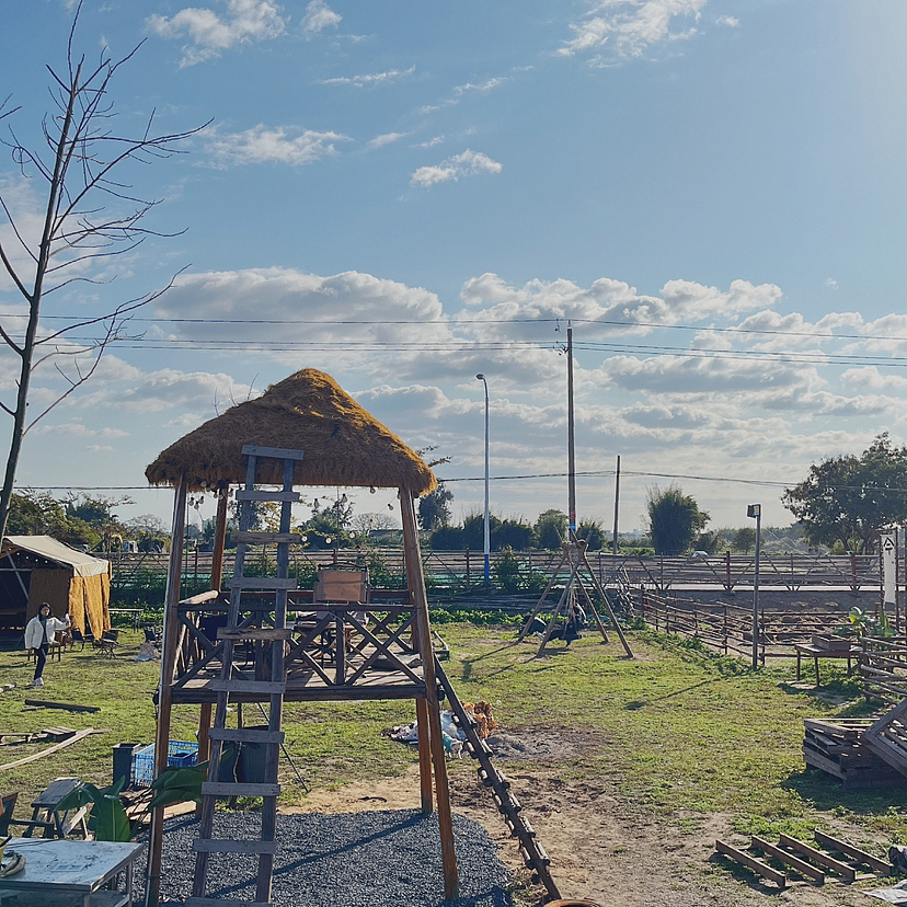 手机拍摄-汕头-科牧羊场