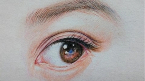 水彩画和彩铅画