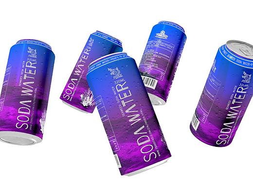 Packaging&Logo design/王子海藻苏打水包装&标志设计