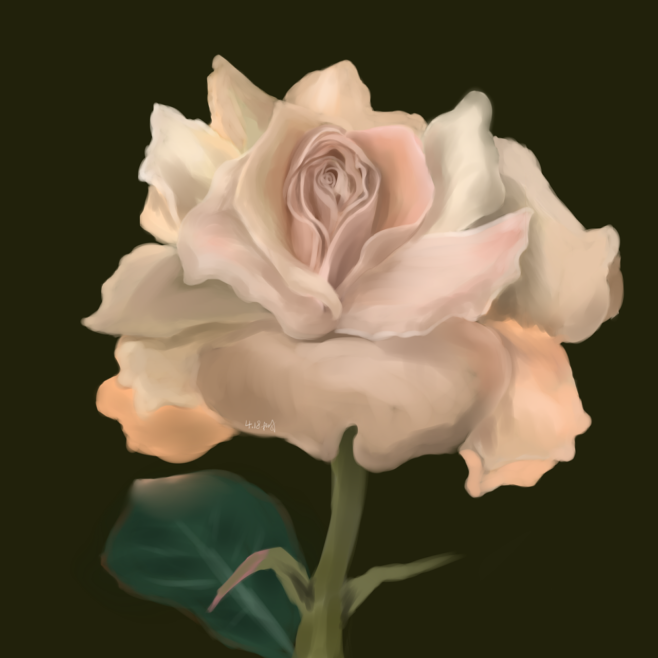 厚涂写实玫瑰|插画|创作习作|壹梦l - 原创作品 - 站酷 (zcool)