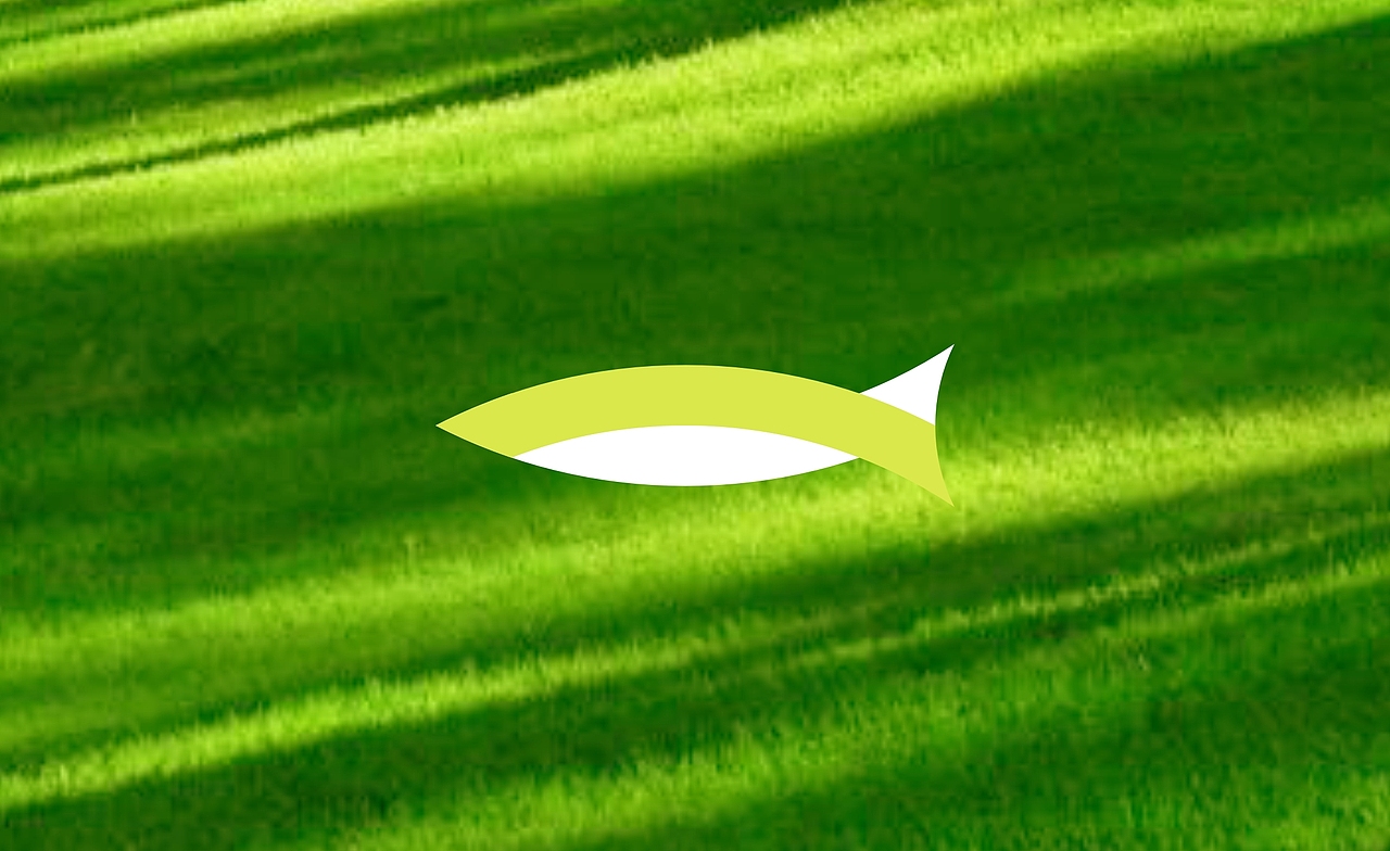 筝游记古筝培训机构品牌形象设计