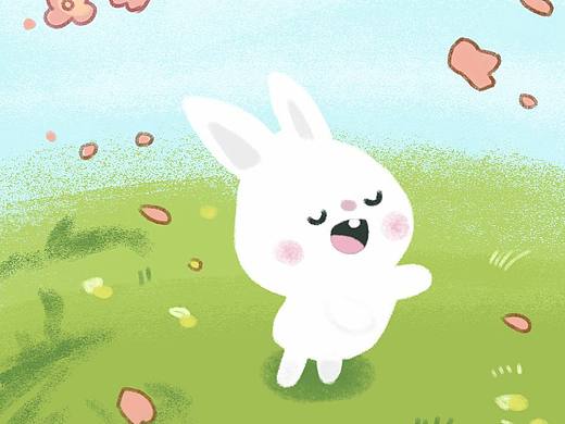the year of rabbit