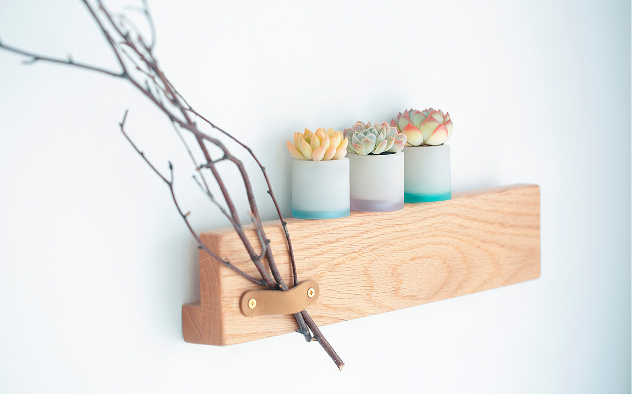 三款INS风家居无土栽培多肉植物-产品摄影（图ZMTMzNTk2Mzcy） - 产品摄影 - 站酷设计师Pazza大安原创素材 - 站酷ZCOOL