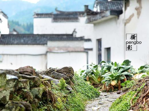 呈坎-活着的历史