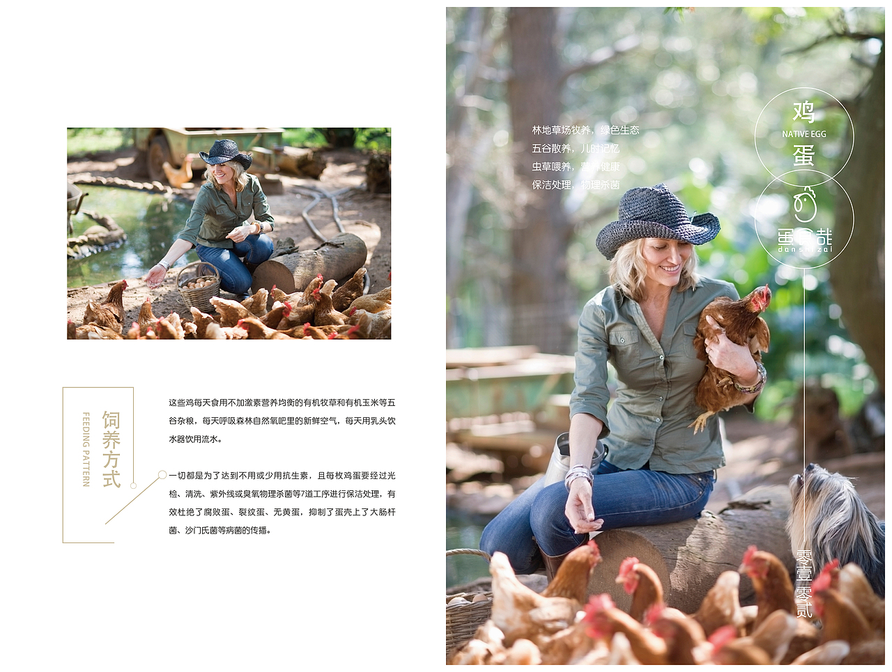 土鸡蛋品牌画册（图ZMjEyNTU0Mzky） - 书籍/画册 - 站酷设计师政失原创素材 - 站酷ZCOOL