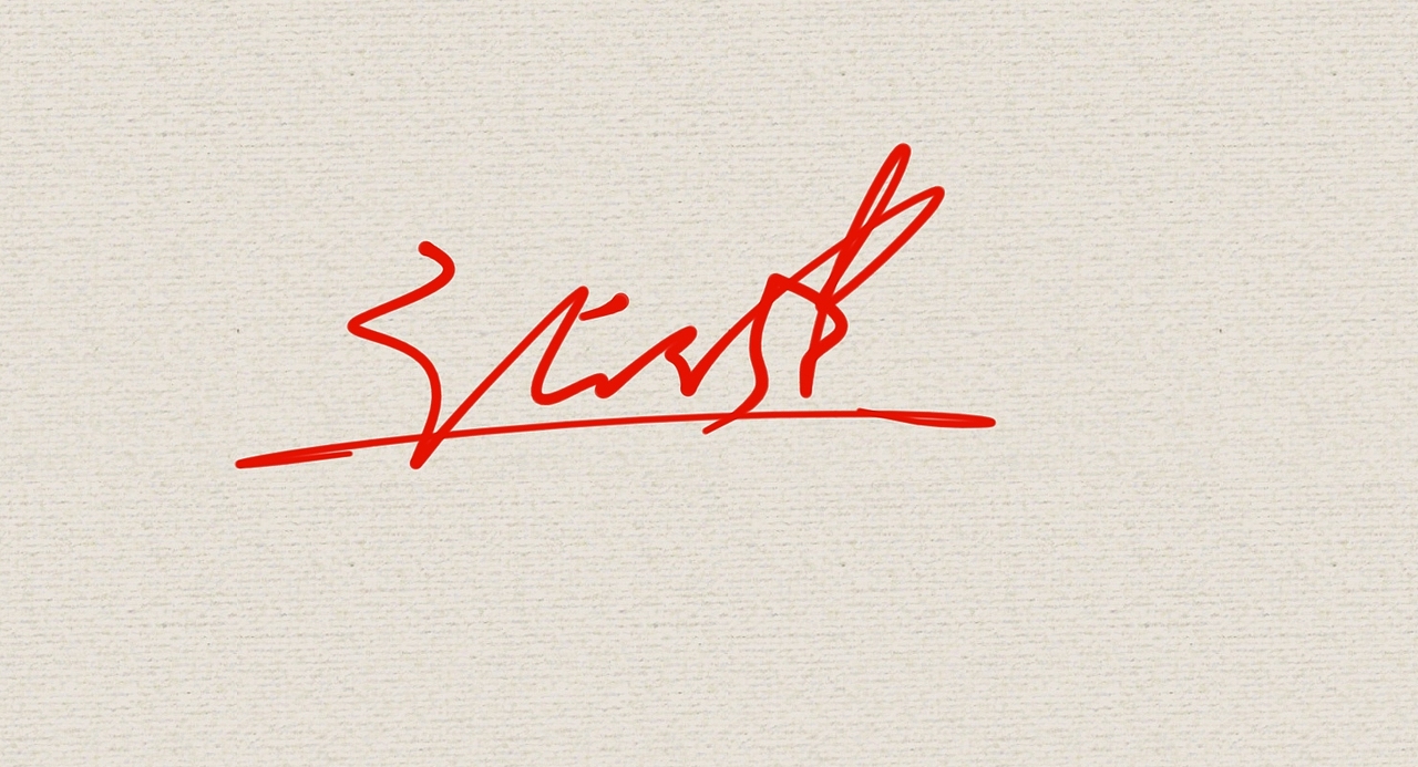 张健的签名一款丨艺术签名丨签名设计丨签名怎么写好看