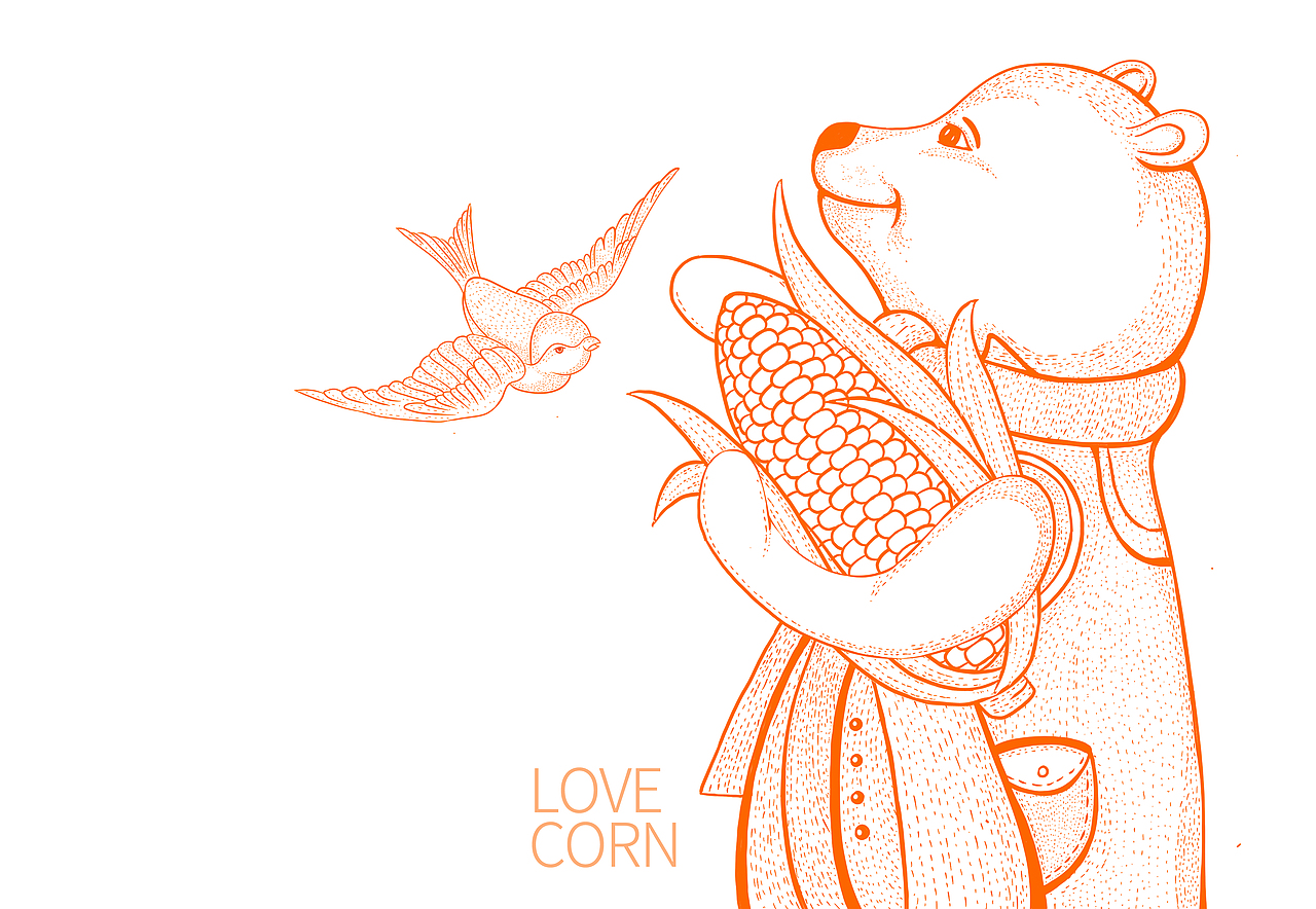 盒生×晨邦创意 糯玉米包装设计(已商用)